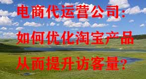 如何優(yōu)化淘寶產(chǎn)品從而提升訪(fǎng)客量